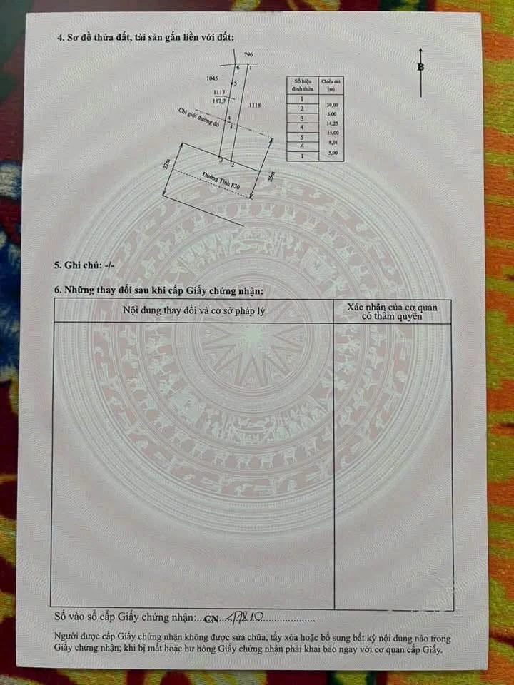 Bán đất thổ cư Mỹ Lệ Cần Dước Long An - Ảnh thu nhỏ 3