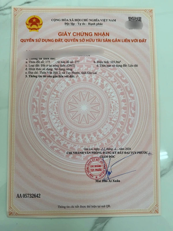 Bán đất Diêu Trì 103,9 m² giá 1 tỷ 190 triệu