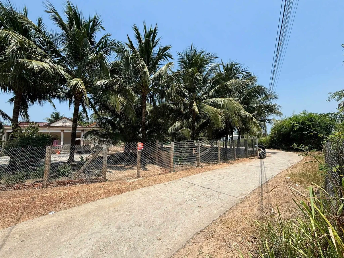 Bán đất Ninh Trung 100m² giá 220 triệu - Ảnh thu nhỏ 2