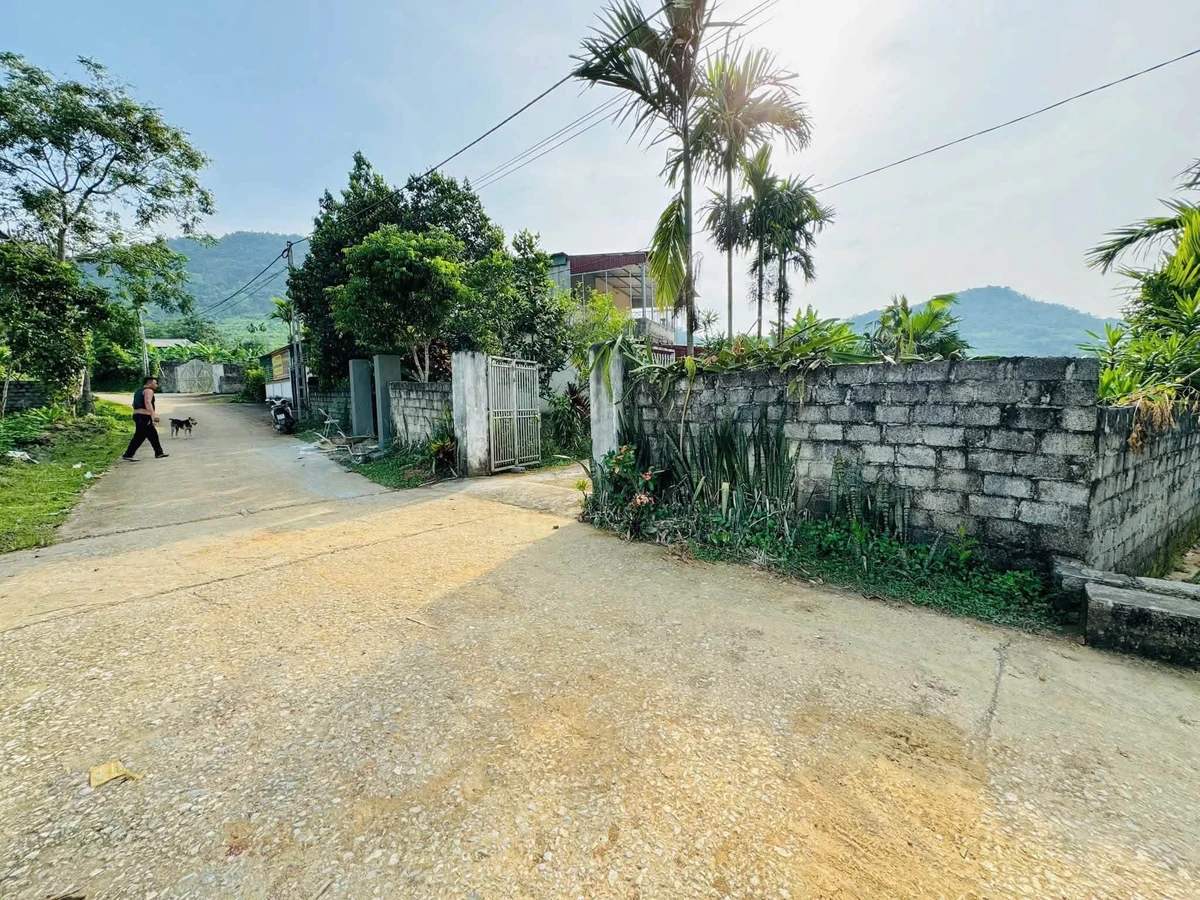 Bán đất 254m² view cánh đồng Kim Bôi, Hòa Bình - Ảnh thu nhỏ 2
