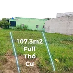 Bán đất thổ cư 108m2 giá 999 triệu gần DT823D, Đức Hòa Đông, Long An - Ảnh thu nhỏ 2