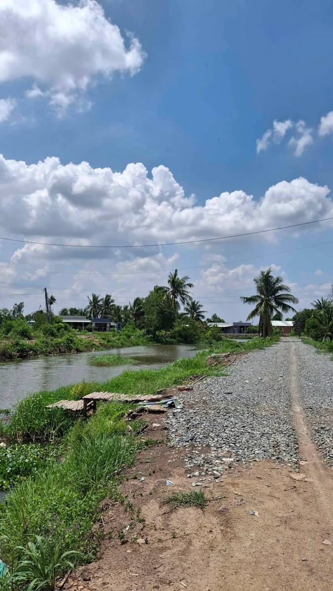 Bán đất 1000m2 có nhà vườn mới xây, ao cá tại xã Tân Thành, Thủ Thừa, Long An - Ảnh 1