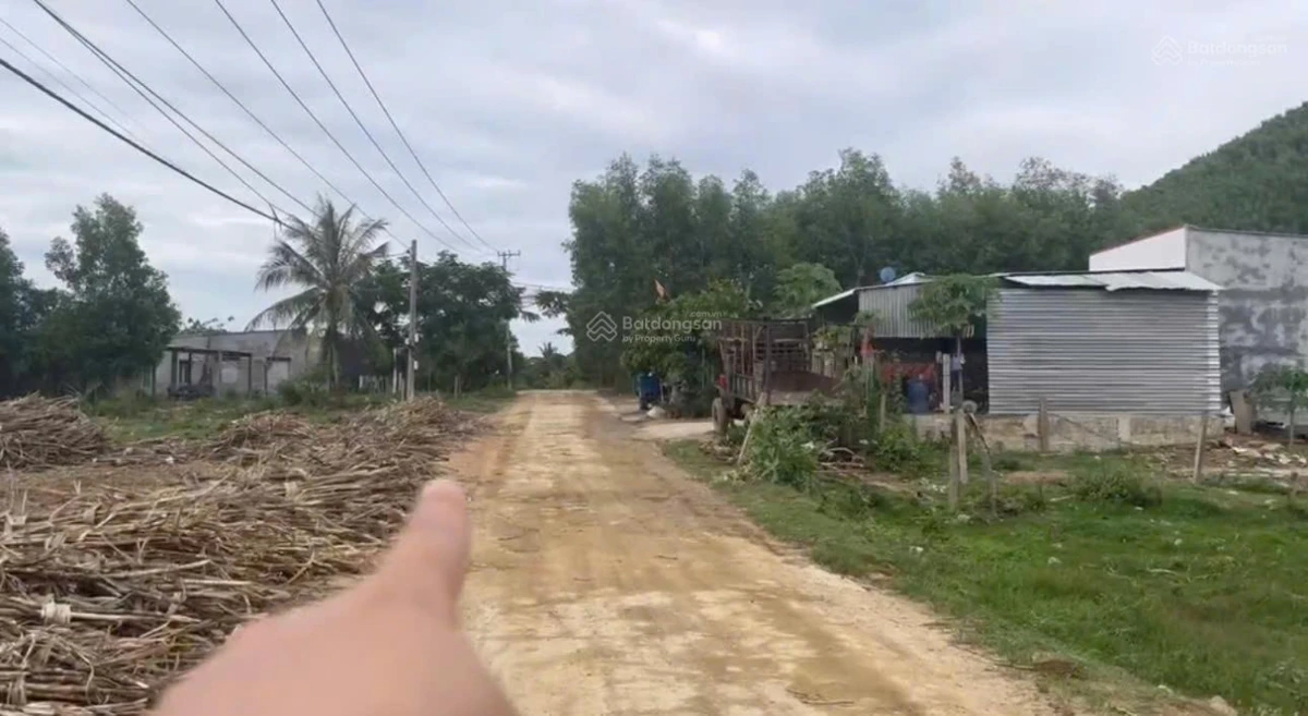 Cần ra nhanh lô đất diện tích 1.153m2 Xã Ninh Tây, Ninh Hòa, Khánh Hòa, có thổ cư - Ảnh thu nhỏ 4
