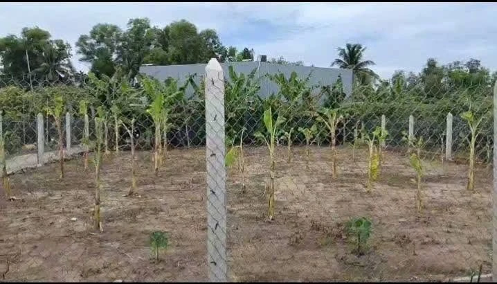 Bán đất nền góc 2 mặt tiền 429m2 giá 1,6 tỷ tại ấp 1, Nhị Thành, Thủ Thừa - Ảnh thu nhỏ 5