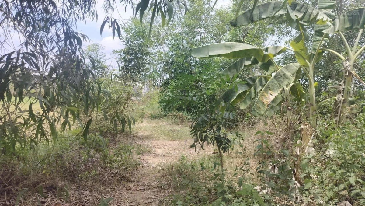 Lô đất 1.213m2 mặt tiền đường Văn Ngọc Chính, P10, TP Sóc Trăng giá chỉ 2.9 tỷ đồng - Ảnh thu nhỏ 3