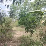 Lô đất 1.213m2 mặt tiền đường Văn Ngọc Chính, P10, TP Sóc Trăng giá chỉ 2.9 tỷ đồng - Ảnh thu nhỏ 3