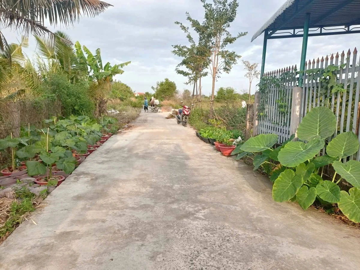 Bán 200m2 đất ở Hàm Liêm, Lâm Đồng, mặt tiền bê tông - Ảnh thu nhỏ 2