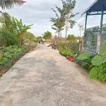 Bán 200m2 đất ở Hàm Liêm, Lâm Đồng, mặt tiền bê tông - Ảnh thu nhỏ 2