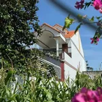 Bán nhà 4 phòng ngủ 264m² Phan Thiết 3 tỷ 750 triệu - Ảnh thu nhỏ 2