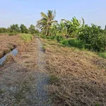 Bán 1200m2 đất vườn ấp 3 Tân Thành, Thủ Thừa, Long An giá 550 triệu - Ảnh thu nhỏ 3