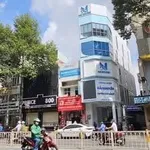 Bán nhà góc 3 mặt tiền 141m² Trần Hưng Đạo Quận 5 - Ảnh thu nhỏ 2