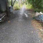 Bán đất tại Mỹ Hòa, Tháp Mười, Đồng Tháp, 9,5 tỷ, 2118 m2 - Ảnh thu nhỏ 11