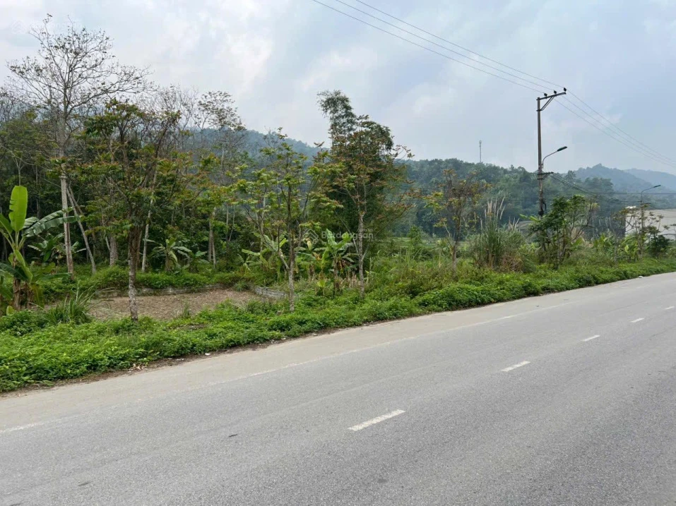 Bán đất 535m2 tại Phương Thiện, Hà Giang, chỉ với 9,5 tỷ - Ảnh thu nhỏ 4