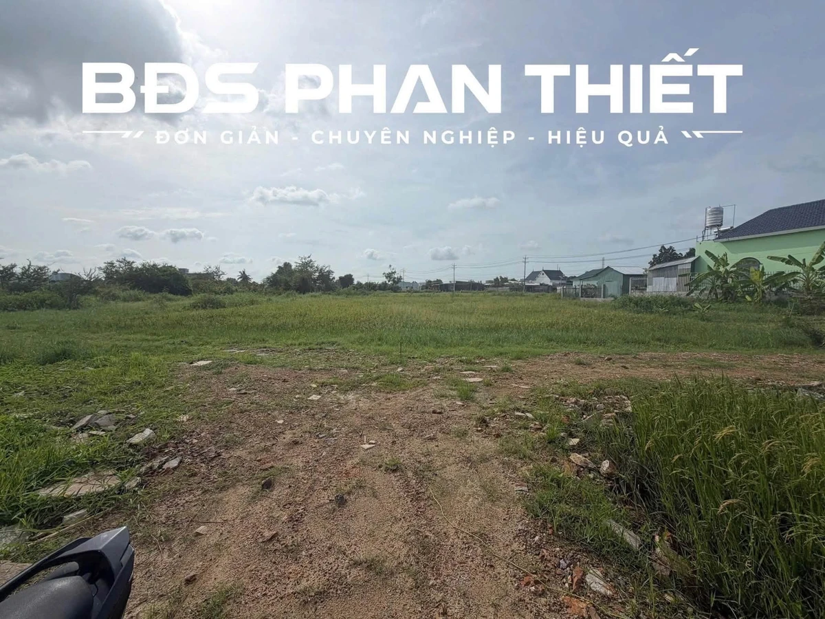 Bán đất 655,4m² Phan Thiết, giá 1 tỷ 250 triệu - Ảnh thu nhỏ 5