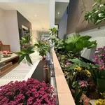 Bán biệt thự cao cấp 4PN 156m2 Buôn Ma Thuột - Ảnh thu nhỏ 3