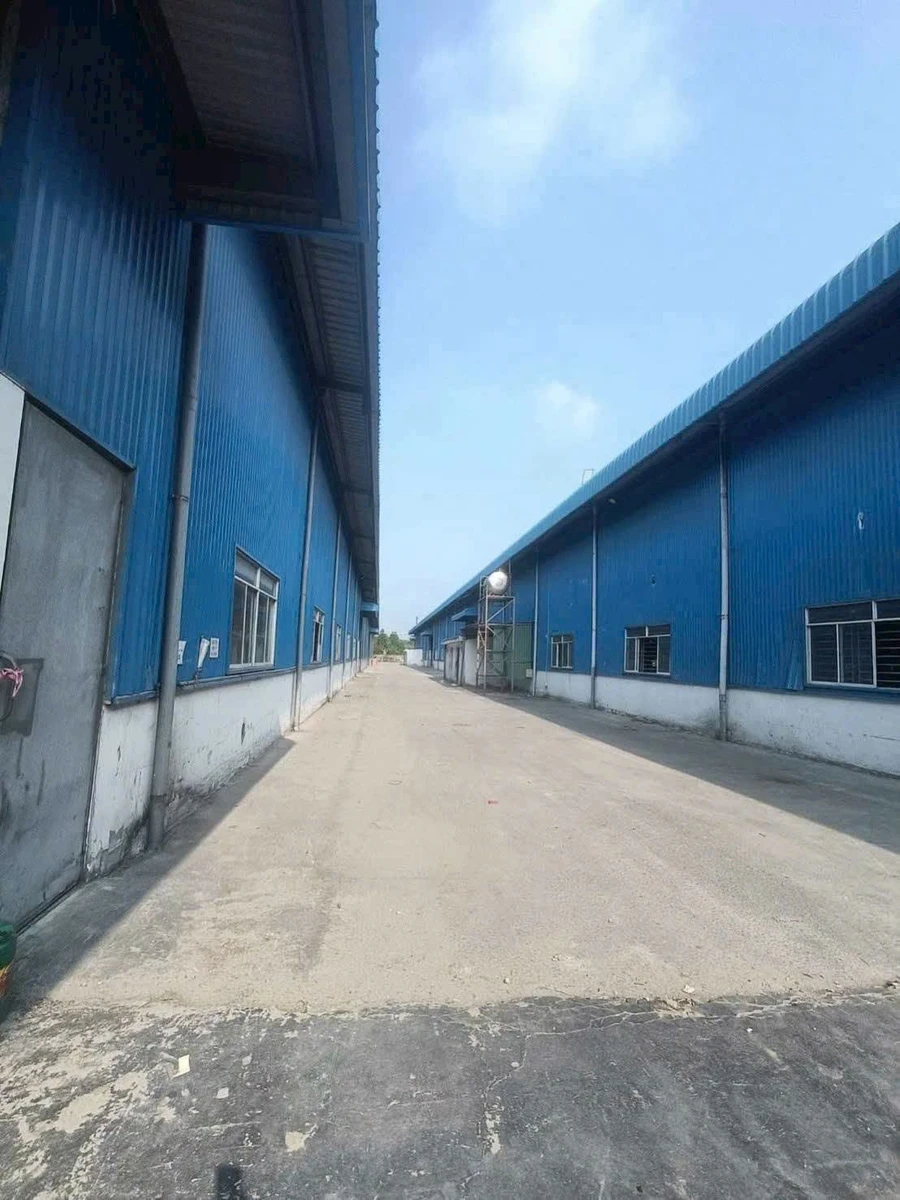 Cho thuê hoặc bán nhà xưởng 35.000m² giáp KCN Tân Bình, Phú Giáo - Ảnh thu nhỏ 3