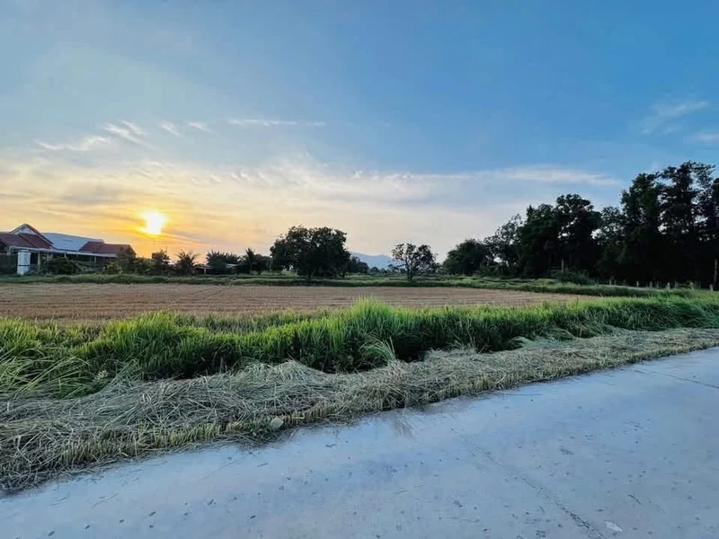 Bán đất cây trồng 1000m2 thôn 2 xã Hàm Liêm, Lâm Đồng giá 420 triệu