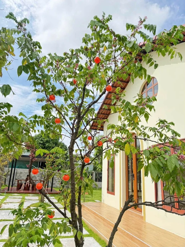 Nhà vườn 1 phòng ngủ 1.600m² Hàm Chính 1 tỷ 790