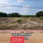 Bán đất 1000m2 Tây Ninh 220 triệu - Ảnh thu nhỏ 3