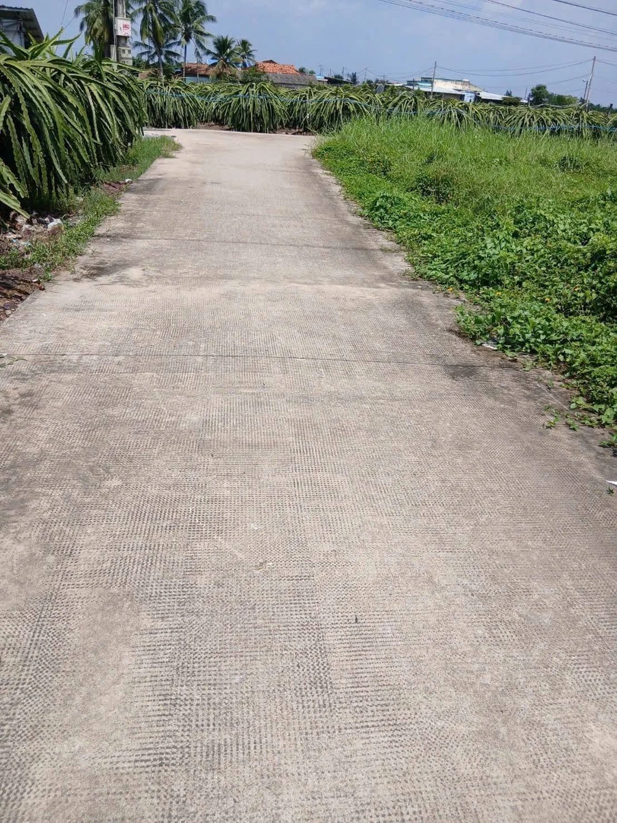 Bán đất thổ cư 10x32m (320m2) xã Dương Xuân Hội, Châu Thành, Long An giá 799 triệu - Ảnh thu nhỏ 3