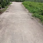 Bán đất thổ cư 10x32m (320m2) xã Dương Xuân Hội, Châu Thành, Long An giá 799 triệu - Ảnh thu nhỏ 3