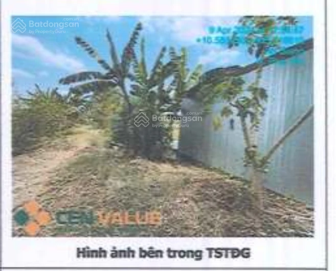 Bán 333,7m2 ODT tại phường Mỹ Hòa, thành phố Long Xuyên, tỉnh An Giang - Ảnh thu nhỏ 3