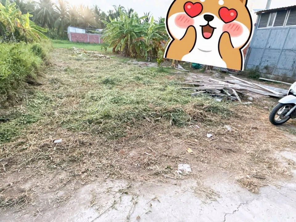 Bán nền 125m² Phú Tân 650 triệu - Ảnh thu nhỏ 3