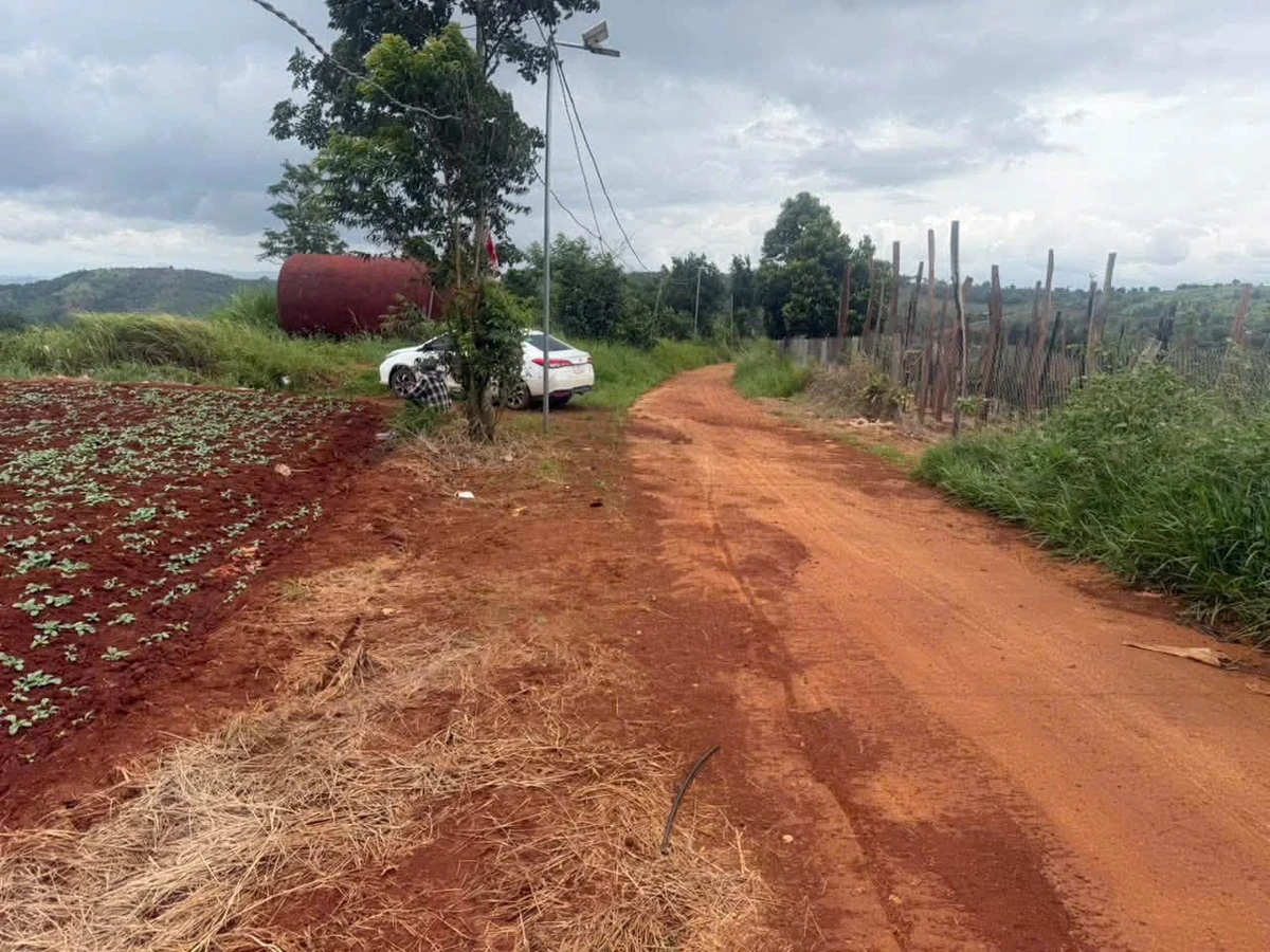 Bán đất ~10 hectare tại Đắk Nông, giá 11 tỷ - Ảnh thu nhỏ 2