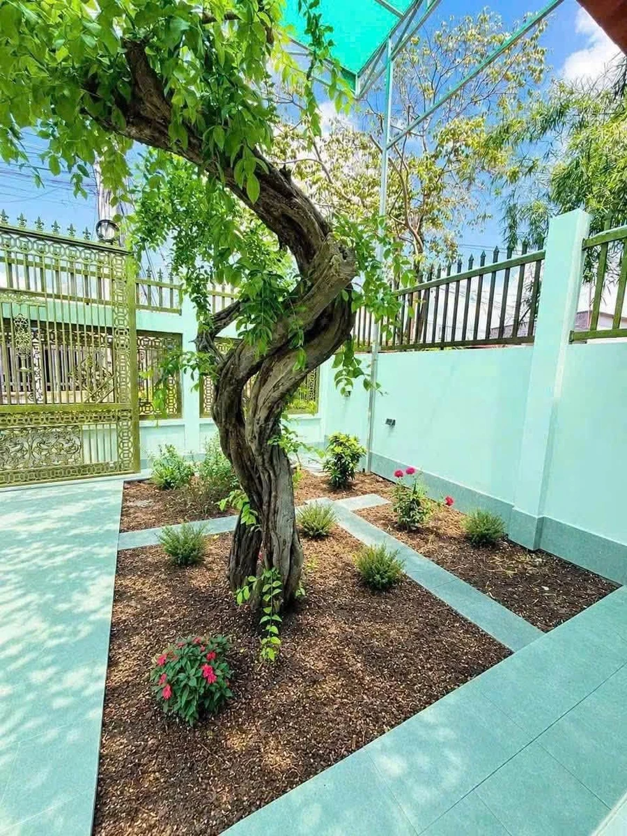 Bán nhà mặt tiền 300m2 3 phòng ngủ Chế Chính Hiệp 4 tỷ 750 - Ảnh thu nhỏ 2
