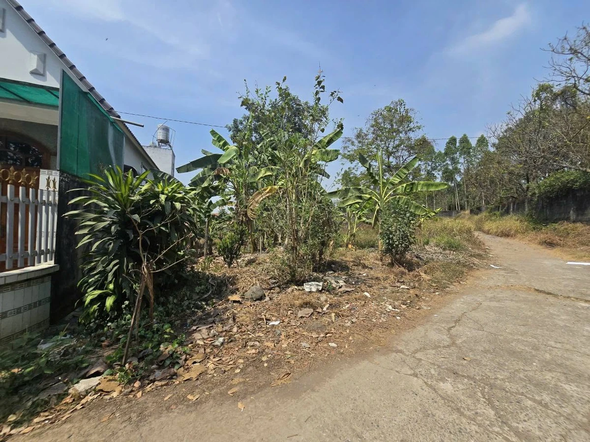 Bán đất vườn 976m² Long Hưng, Đồng Nai, 9,49 tỷ - Ảnh thu nhỏ 3