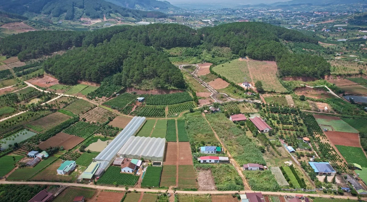 Bán 5 thửa đất vườn ở Nam Ban, Lâm Hà, 485–933 m² - Ảnh thu nhỏ 2