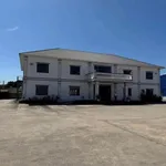 Cho thuê hoặc bán nhà xưởng 35.000m² giáp KCN Tân Bình, Phú Giáo - Ảnh thu nhỏ 2