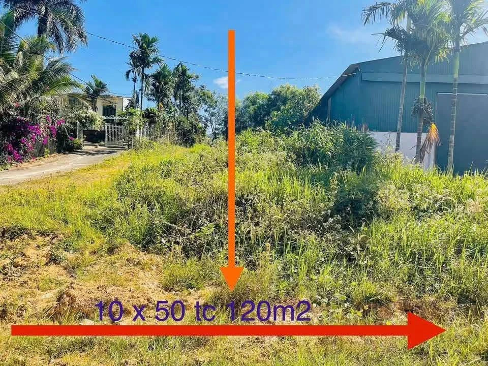 Bán đất 2 mặt tiền 500m² Nam Rạ Đắk Nia 650 triệu - Ảnh thu nhỏ 3
