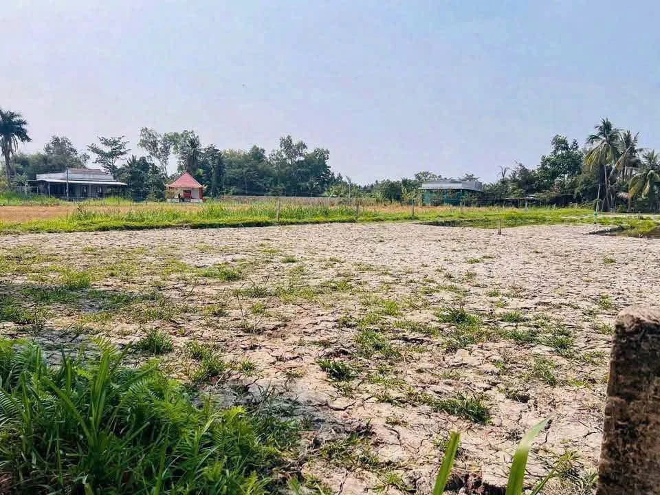 Bán đất vườn 544m² có sẵn ao cá, giá 680 triệu tại Phường Khánh Hậu, Tây Ninh - Ảnh thu nhỏ 2