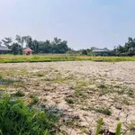 Bán đất vườn 544m² có sẵn ao cá, giá 680 triệu tại Phường Khánh Hậu, Tây Ninh - Ảnh thu nhỏ 2
