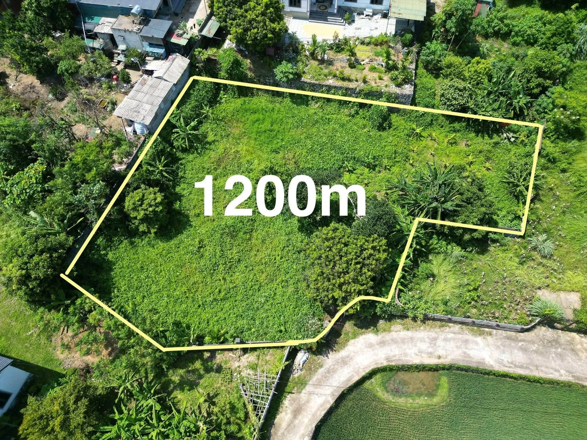 Bán đất 1.200m² Cư Yên Lương Sơn Hòa Bình 3 tỷ - Ảnh thu nhỏ 2