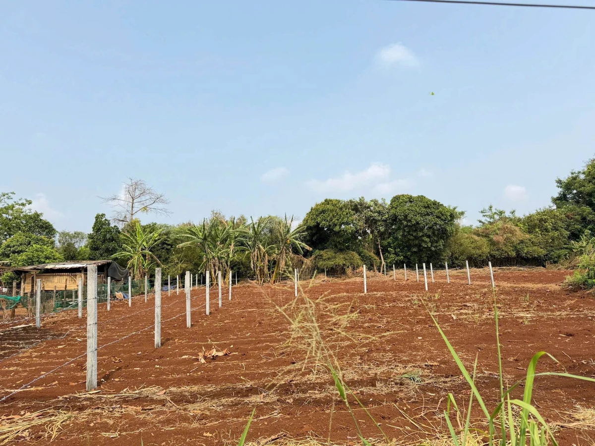Bán đất hẻm Thủ Khoa Huân 5x24m, 120m², 2,65 tỷ - Ảnh thu nhỏ 3