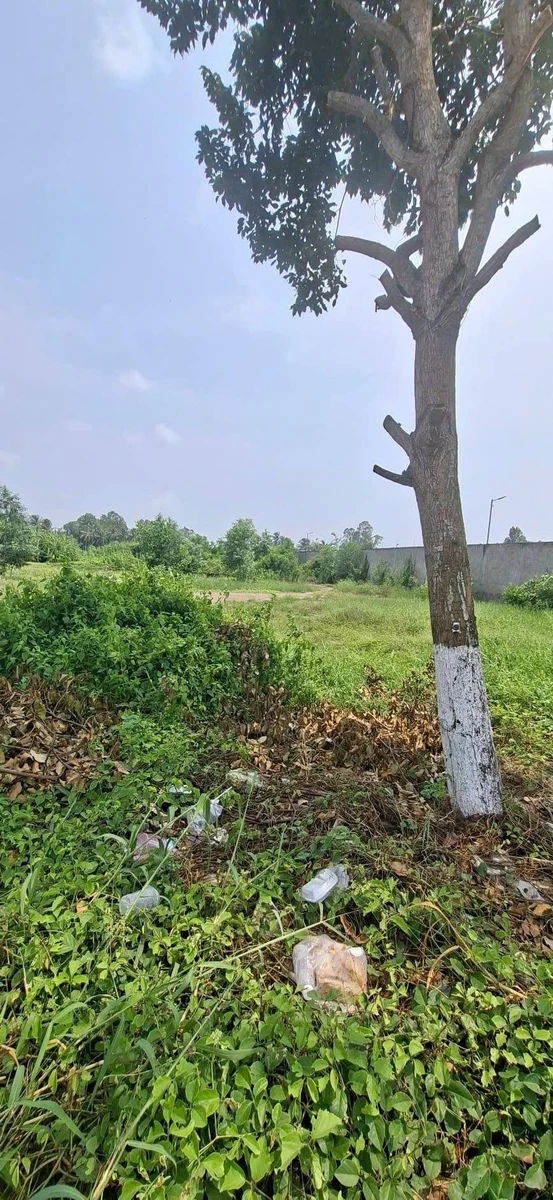 Bán 17.000m² đất mặt tiền Võ Văn Kiệt Rạch Giá - Ảnh thu nhỏ 2