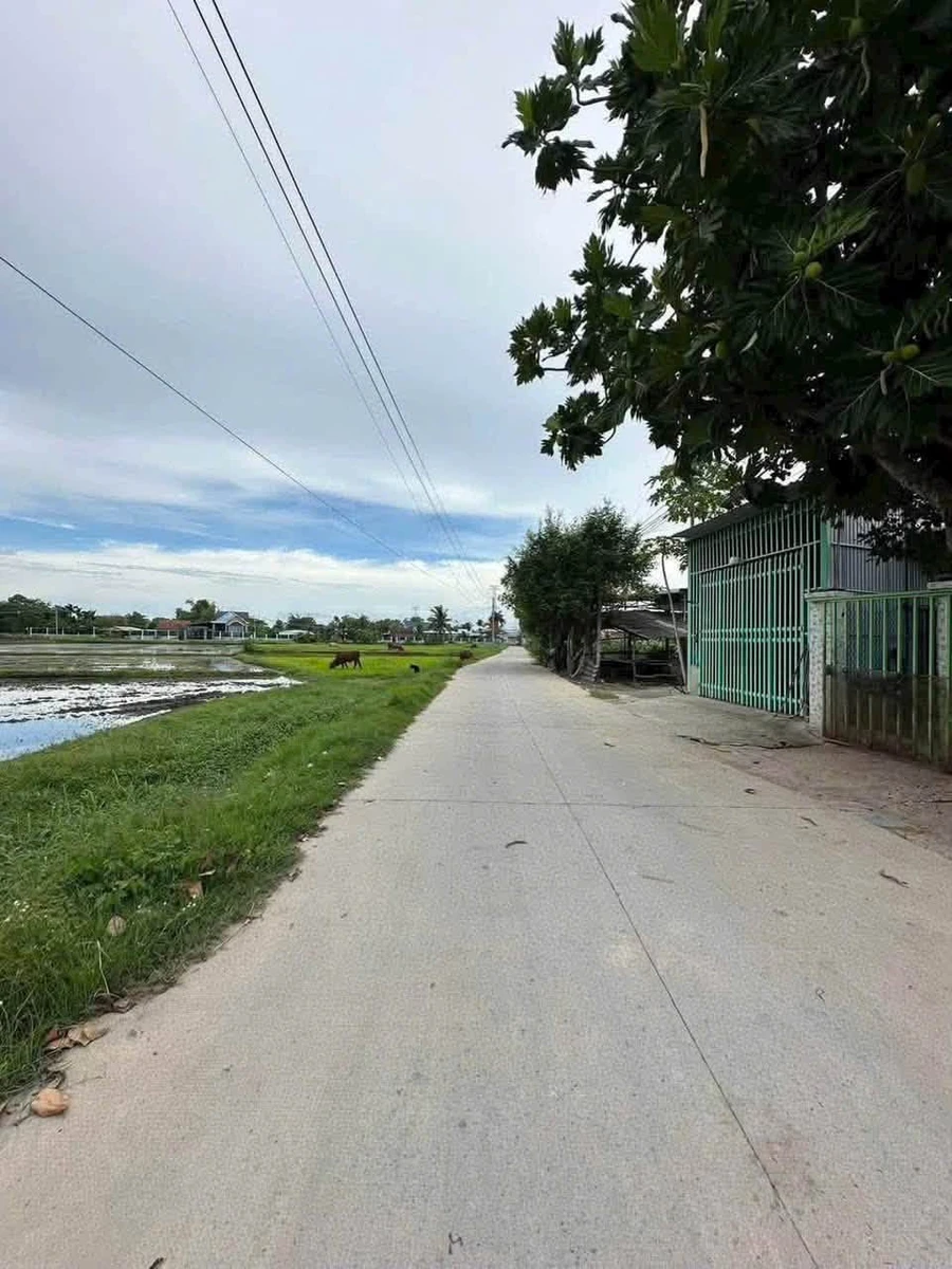 Bán lô đất 10x33m mặt tiền Đức Hòa Thượng, Bình Chánh - Ảnh thu nhỏ 5