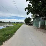 Bán lô đất 10x33m mặt tiền Đức Hòa Thượng, Bình Chánh - Ảnh thu nhỏ 5