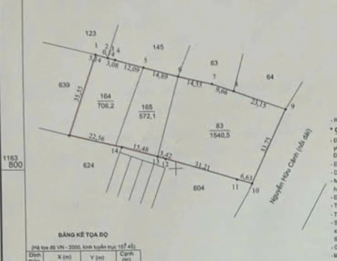 Đất mặt tiền Nguyễn Hữu Cảnh, Long Hương, 2.786m² - 12 tỷ 9 - Ảnh thu nhỏ 4