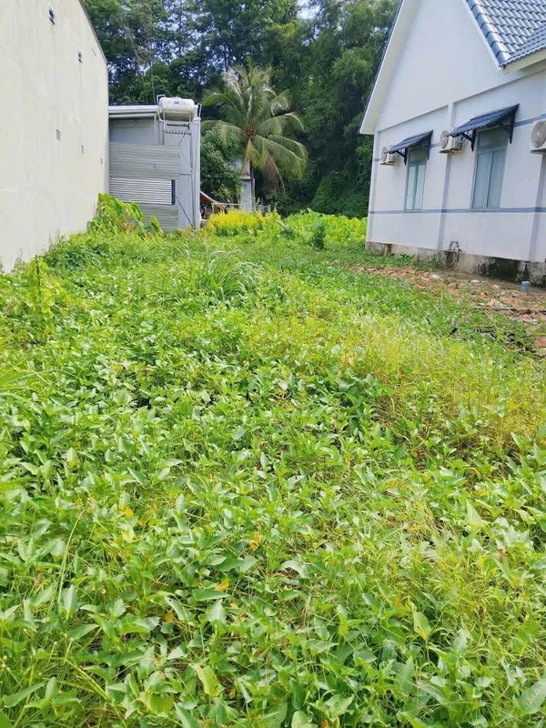 Bán lô đất 167m² Phú Hội, Đồng Nai, 1 tỷ 7