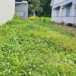 Bán lô đất 167m² Phú Hội, Đồng Nai, 1 tỷ 7 - Ảnh thu nhỏ 1