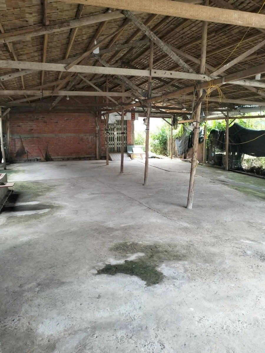 Bán nhà mặt tiền 700m2, 2PN Giồng Trôm, Bến Tre - Ảnh thu nhỏ 2