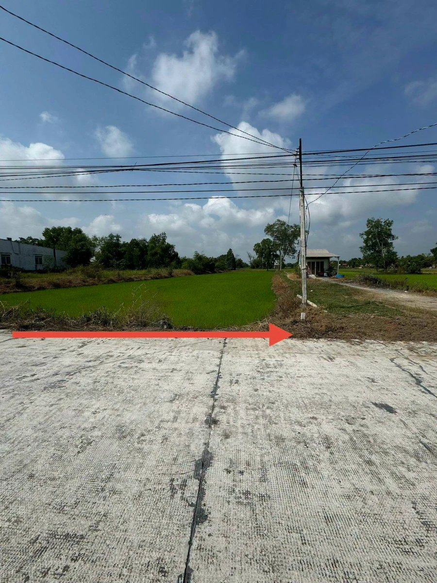 Bán đất mặt tiền Đá Xanh 300m² Hiệp Hoà Tây Ninh - Ảnh thu nhỏ 5