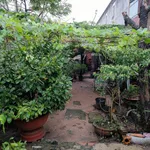 Bán đất 464 m² Bình Minh Trảng Bom Đồng Nai 4 tỷ - Ảnh thu nhỏ 4
