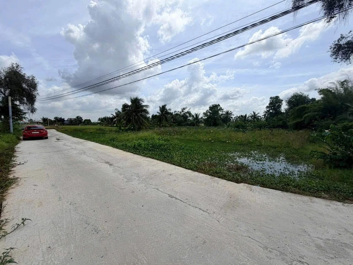 Bán đất ruộng 800m² xây nhà vườn Tân Trụ 1,1 tỷ - Ảnh thu nhỏ 2