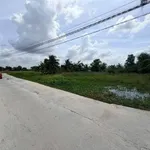 Bán đất ruộng 800m² xây nhà vườn Tân Trụ 1,1 tỷ - Ảnh thu nhỏ 2