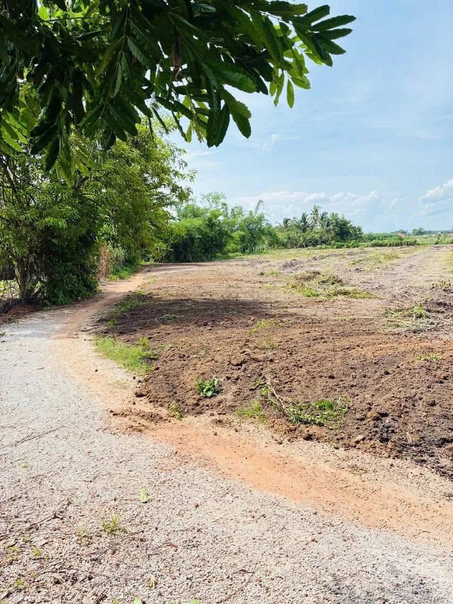 Bán đất 5x100m (500m2, 50m2 thổ cư) xã Phan, Dương Minh Châu, Tây Ninh giá 280 triệu - Ảnh thu nhỏ 3