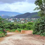 Bán 1000m² đất Mê Linh Đà Lạt có vườn cà phê - Ảnh thu nhỏ 4